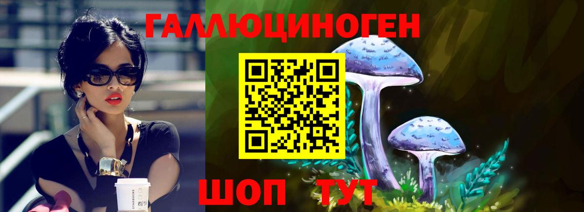 Псилоцибиновые грибы ЛСД  Псилоцибиновые грибы Psilocybine cubensis  Вход с VPN  Славянск-на-Кубани 